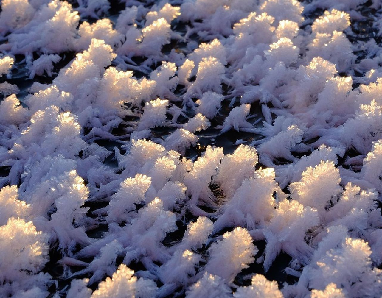 Una mappa con segnalati i migliori laghi tra le montagne per la pesca invernale e le baite nel bosco