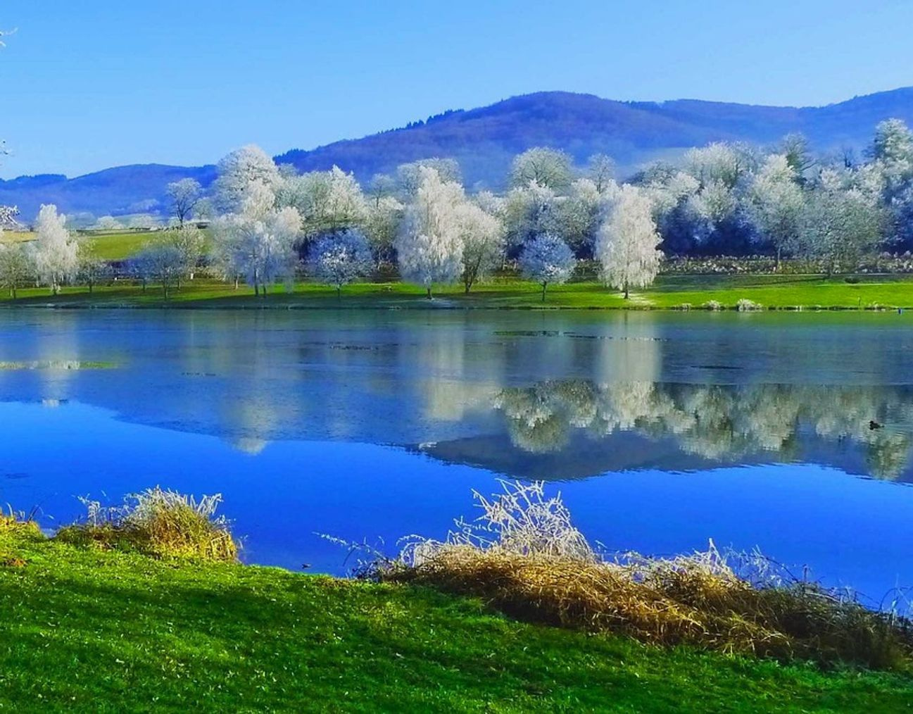 Un cercatore di laghi che esamina tabelle di spessore del ghiaccio accanto a una finestra